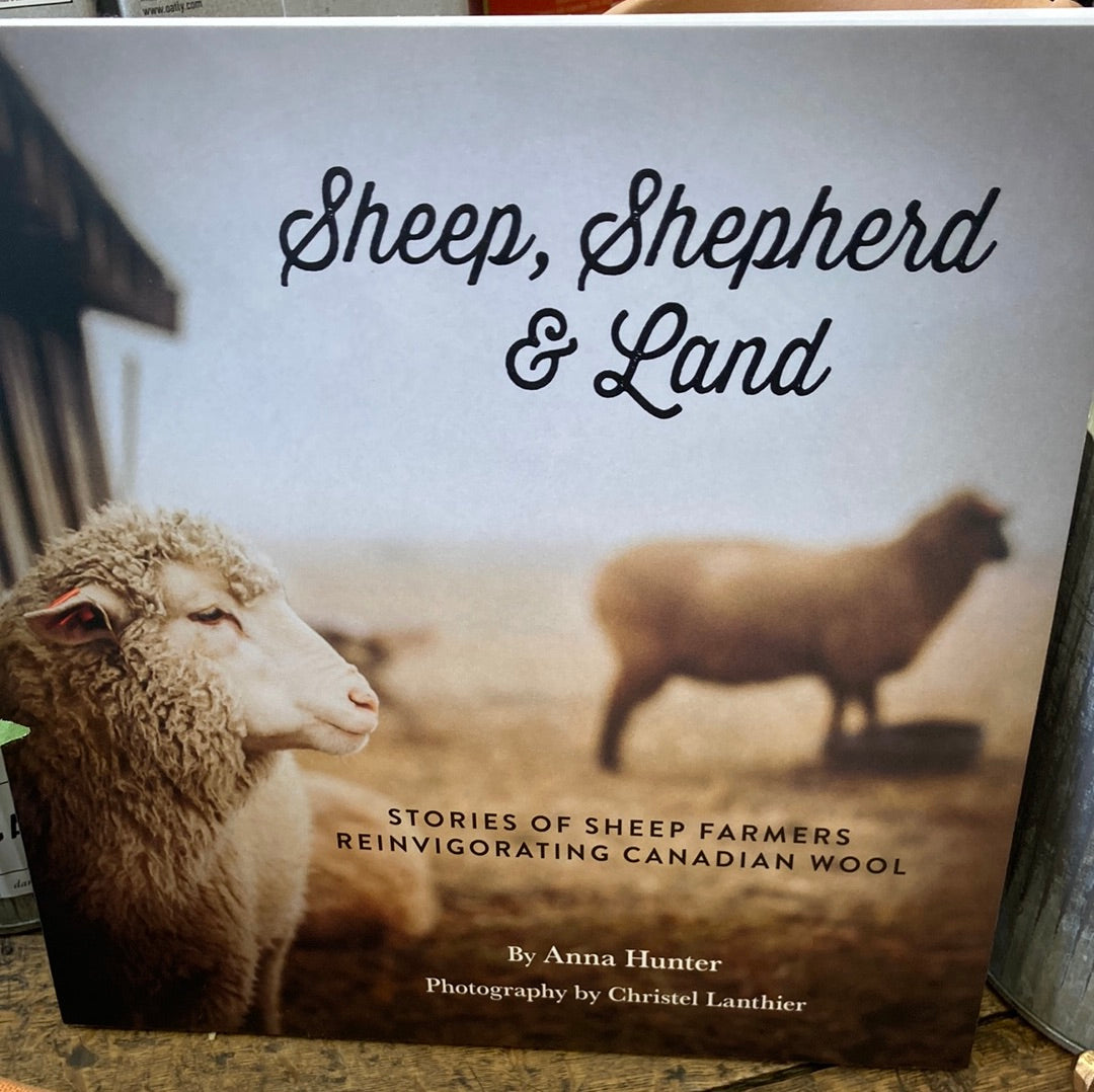 Sheep, Shepherd & Land