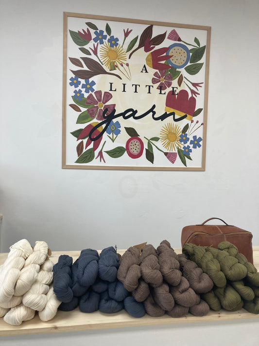 Illimani Sabri