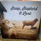 Sheep, Shepherd & Land